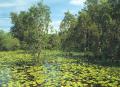 kakadu park.jpg